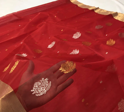 Jayachitra | Katan Silk Chanderi Saree