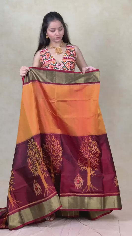 Ishia | Single Ikat Patola saree