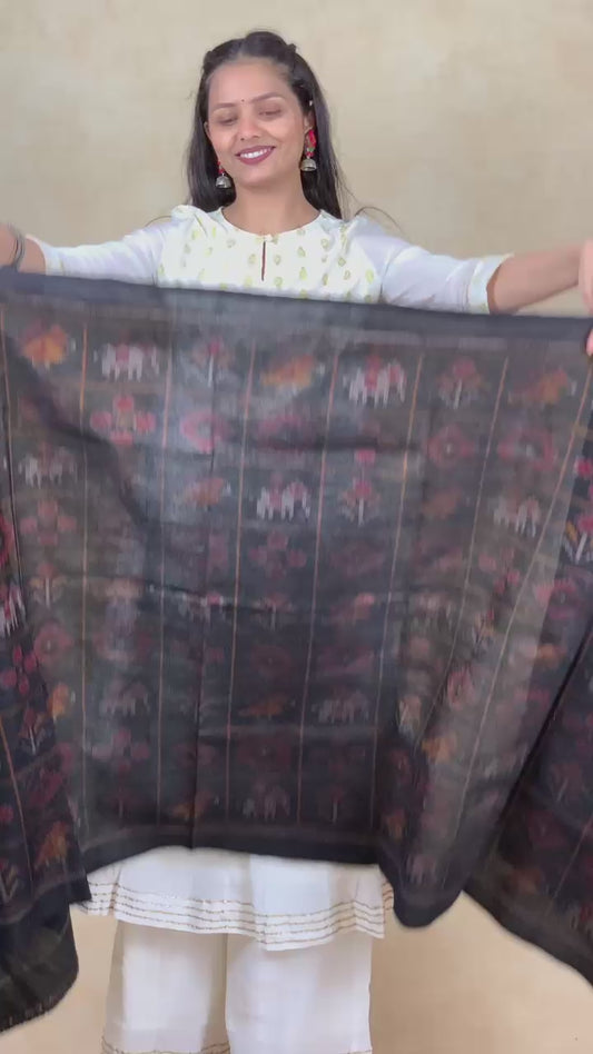 Vinaya | patola shawl