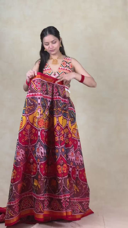 Dhriti | Patola saree