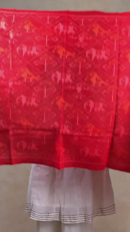 Kishori | patola shawl