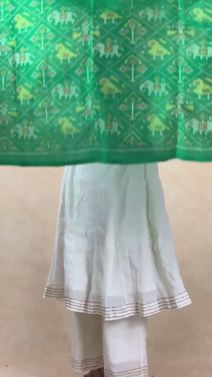 Dikshant | patola shawl