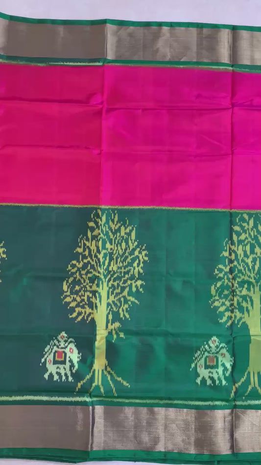 Heta | Single Ikat Patola saree