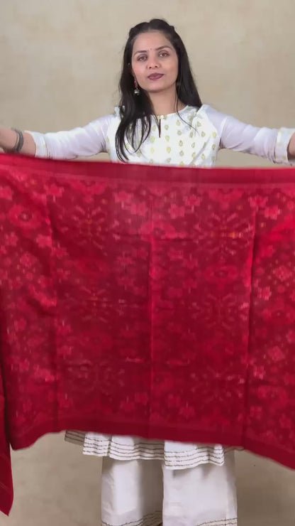 Leema | patola shawl