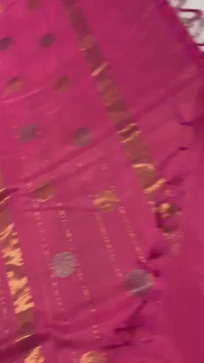 Vinny | Venkatagiri cotton by pattu saree