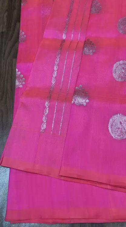 Harshika | pure silk venkatagiri saree