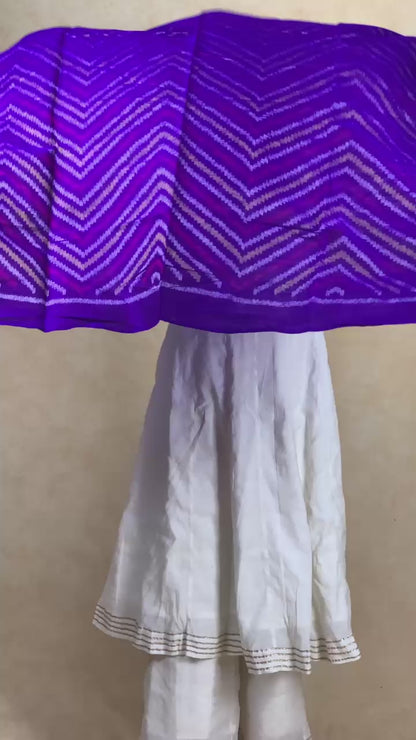 Dhvani | patola shawl