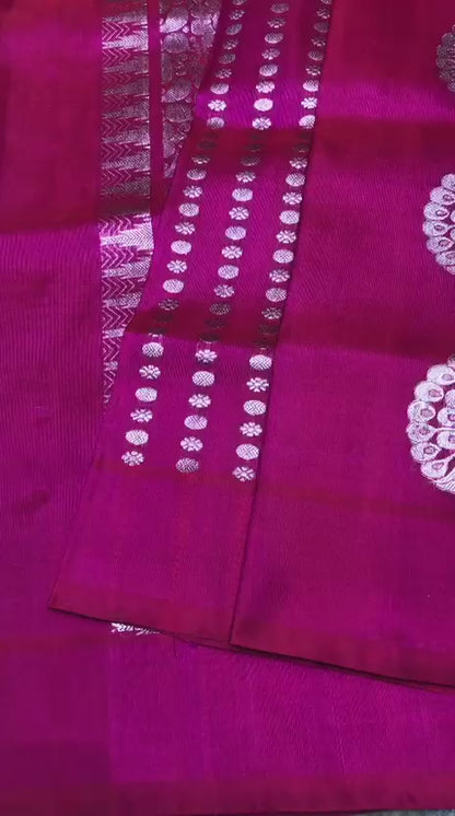 Harshalika | pure silk venkatagiri saree