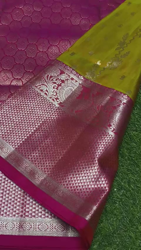 Vina | Venkatagiri pattu saree