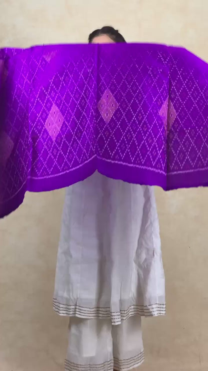 Amisha | patola shawl