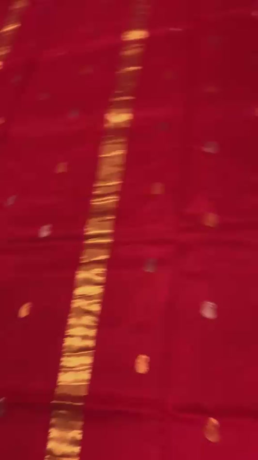 Vini | Venkatagiri cotton by pattu saree
