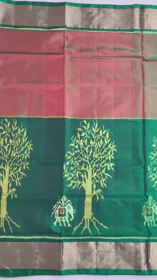 Kinshuk | Single Ikat Patola saree