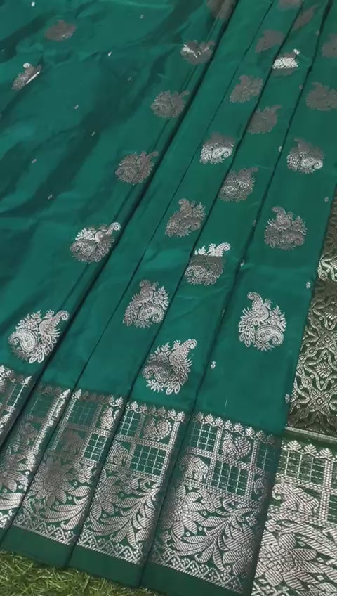 Visha | Venkatagiri pattu saree
