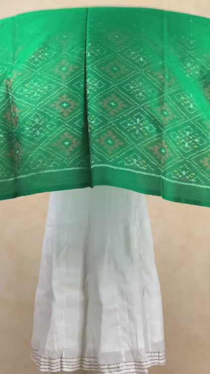 Kavya | patola shawl