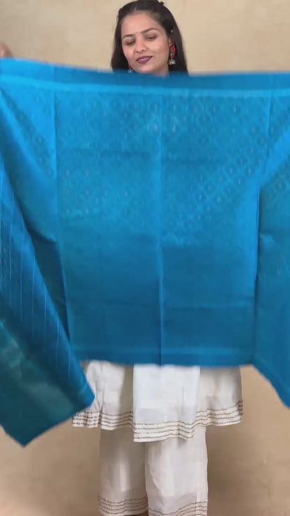 Hiral | patola shawl