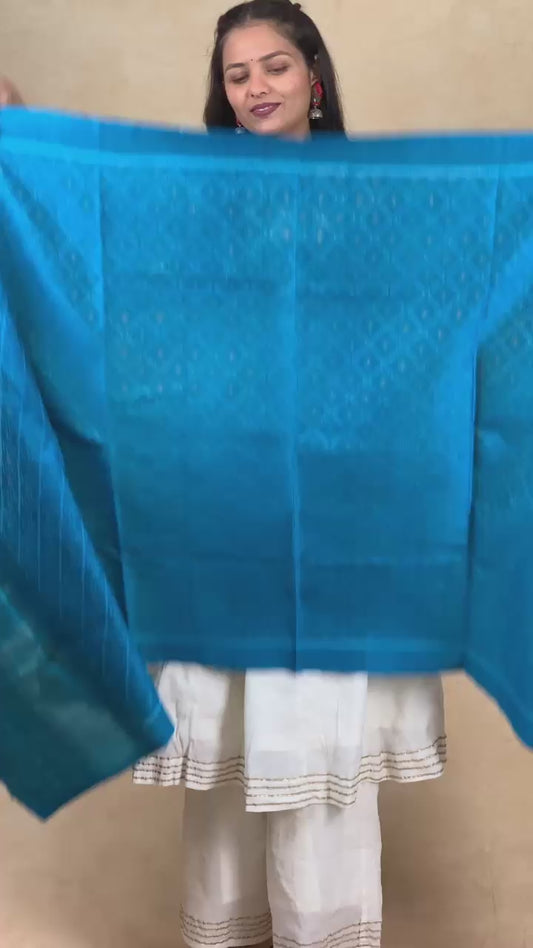 Hiral | patola shawl