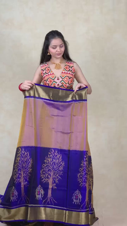 Purvi | Single Ikat Patola saree