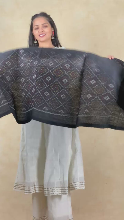 Kamala | patola shawl