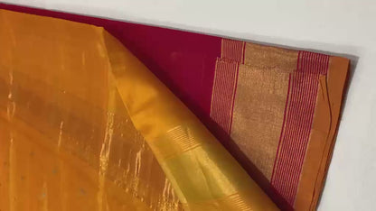 Shashikant | cotton silk venkatagiri saree