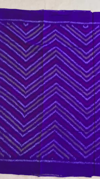 Dhvani | patola shawl