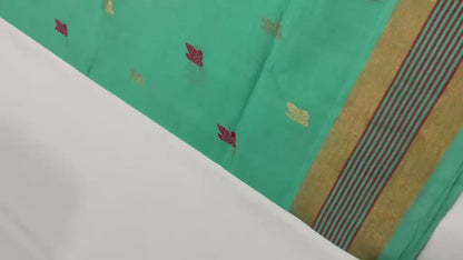 Hari | pure cotton venkatagiri saree
