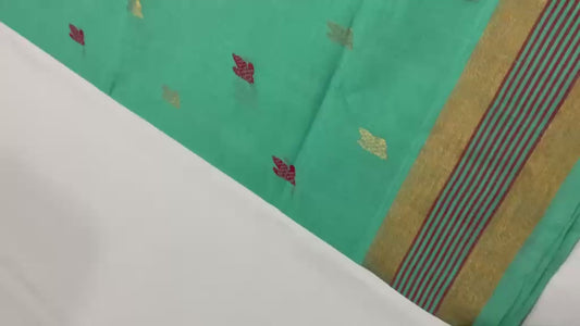 Hari | pure cotton venkatagiri saree