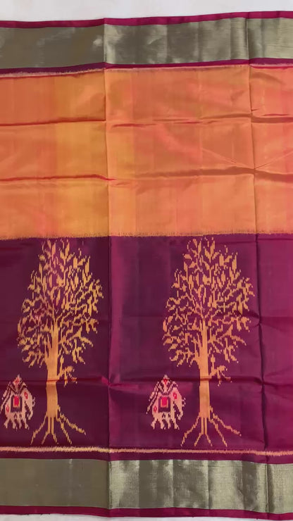 Ishia | Single Ikat Patola saree