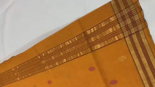 Harshali | pure cotton venkatagiri saree