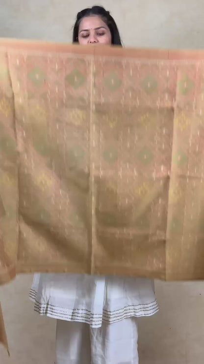 Leenata | patola shawl