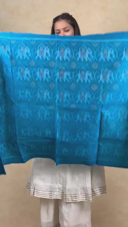 Vimla | patola shawl