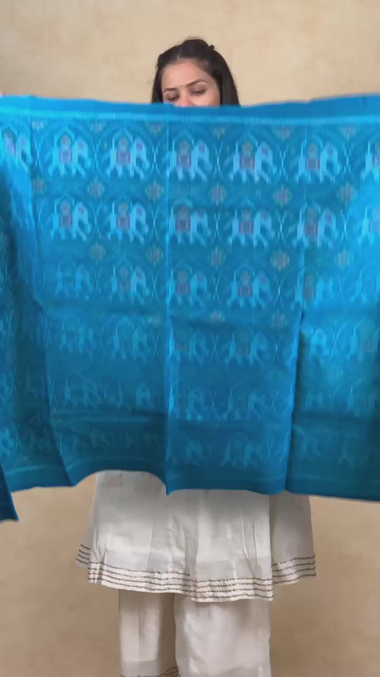 Vimla | patola shawl