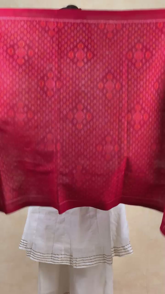 Manisha | patola shawl