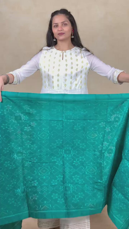 Jheel | patola shawl