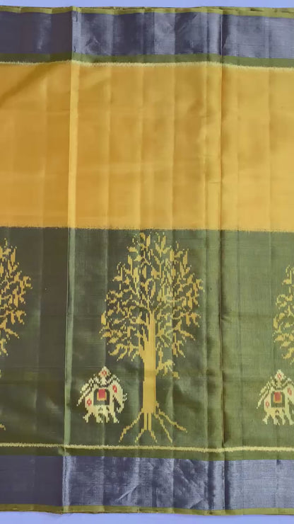 Alia | Single Ikat Patola saree