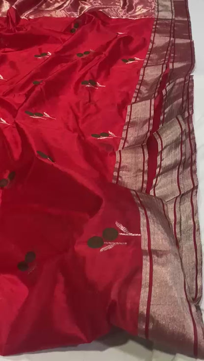 Chandraja  | Katan Silk Chanderi Saree