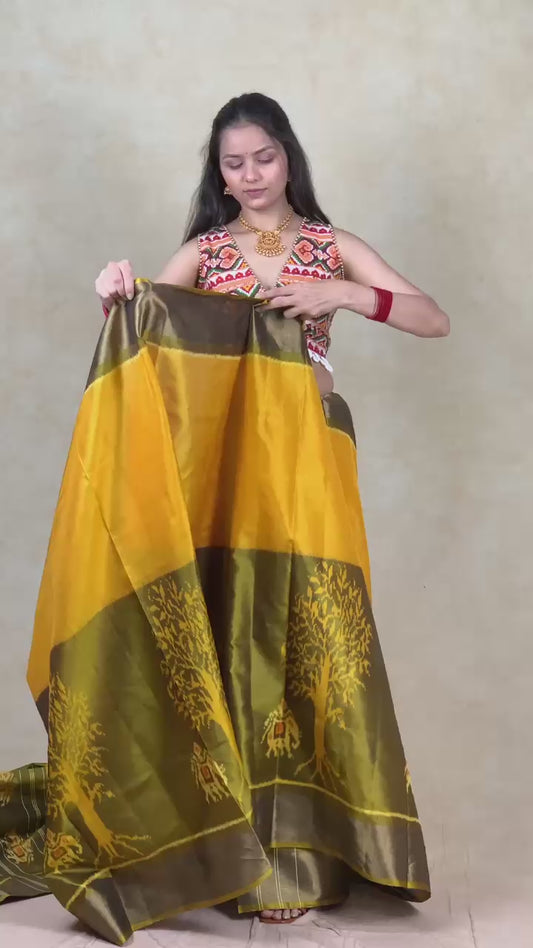 Alia | Single Ikat Patola saree