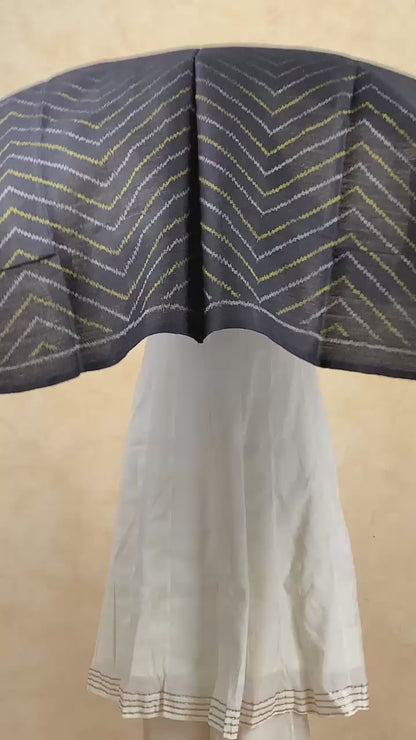 Medha | patola shawl