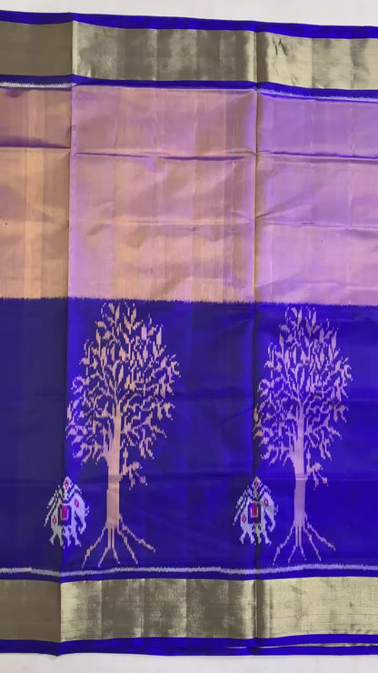 Purvi | Single Ikat Patola saree