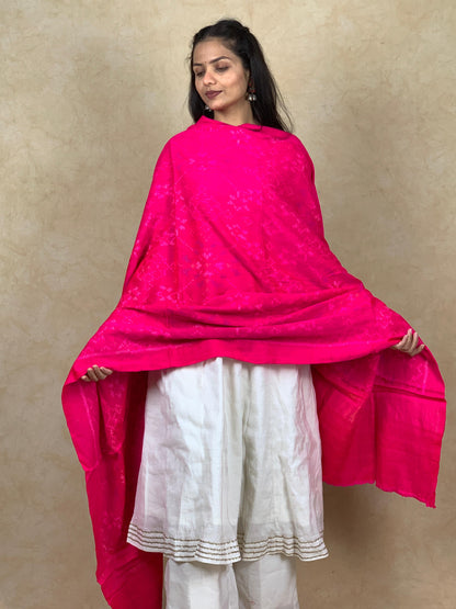 Champa | patola shawl