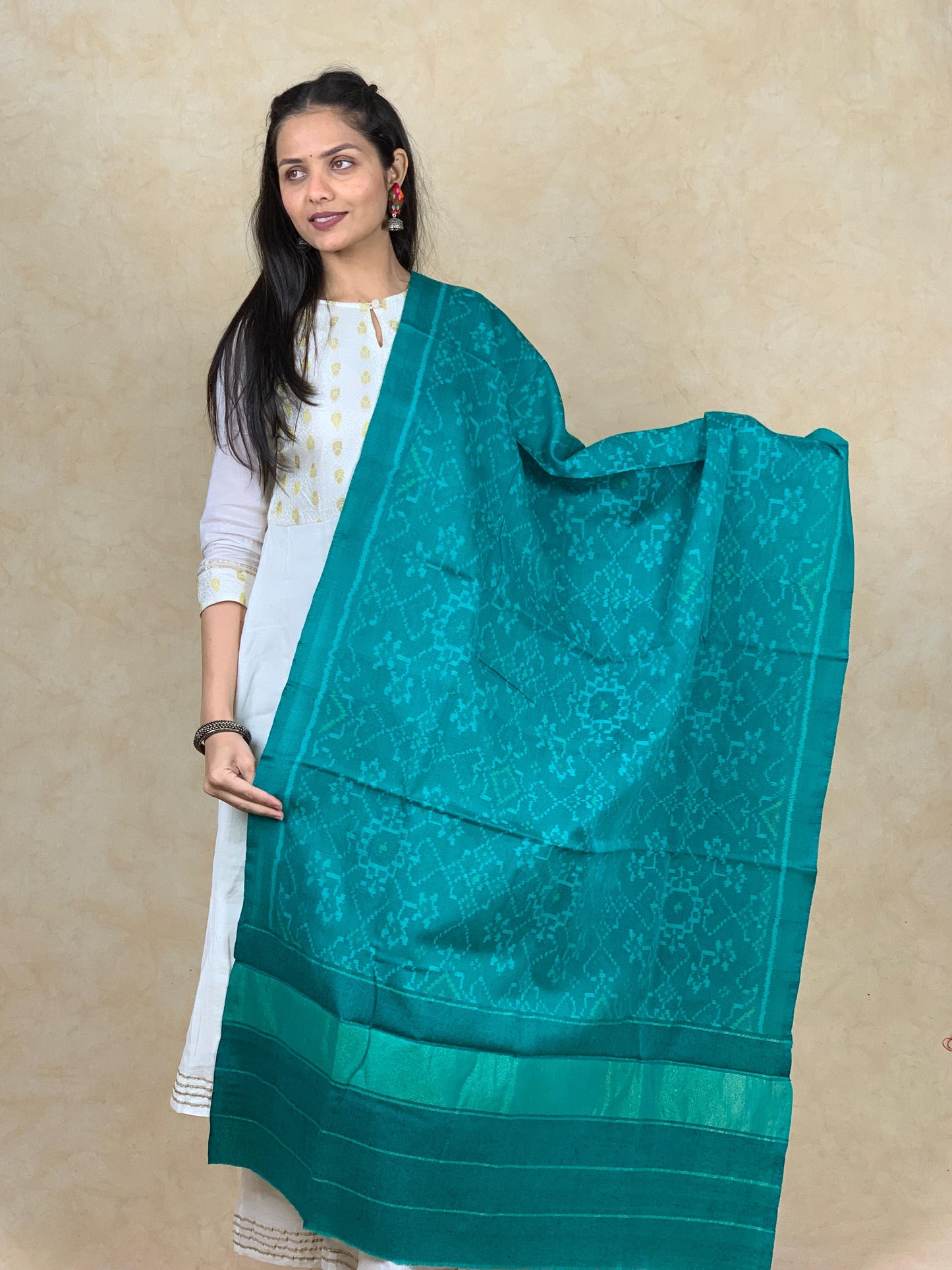 Jheel | patola shawl