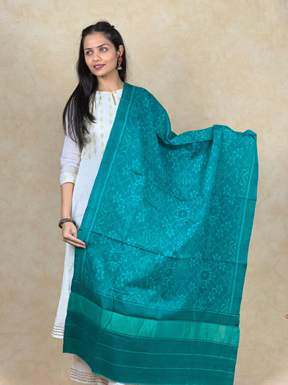 Jheel | patola shawl