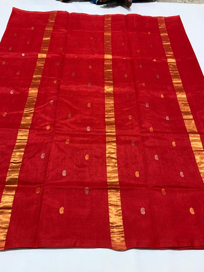 Vini | Venkatagiri cotton by pattu saree