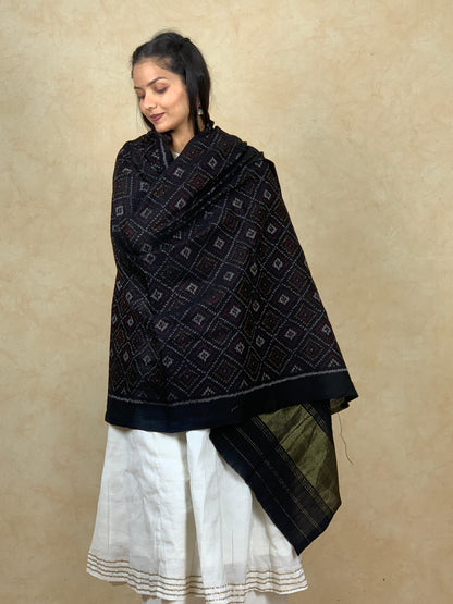Kamala | patola shawl