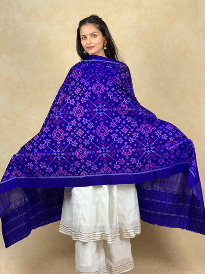 Chitra | patola shawl