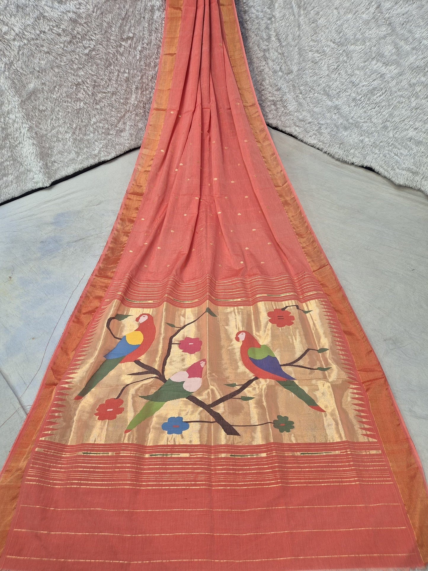 Pinti | Cotton handloom paithani