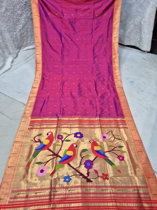 Pandhi | Ek Muniya Paithani