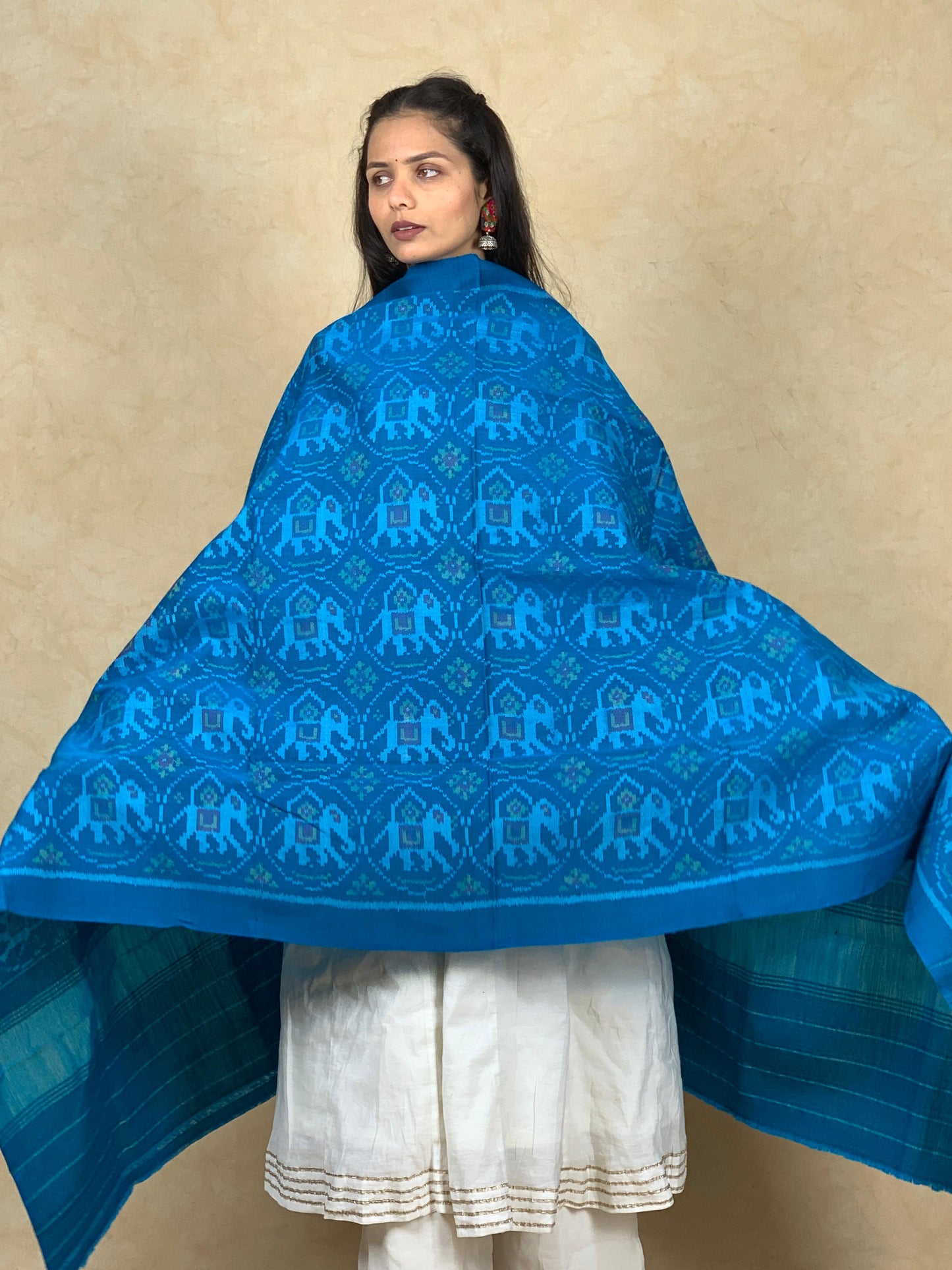 Vimla | patola shawl