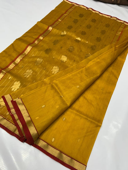 Chandravali  | Katan Silk Chanderi Saree