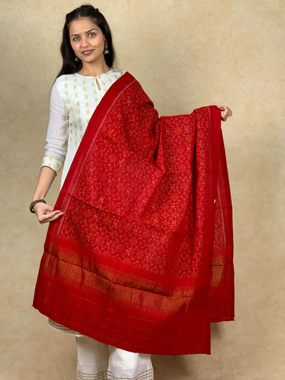 Diti | patola shawl