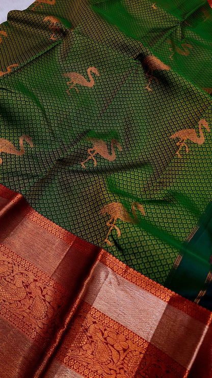 Ashok | pure silk kanjeevaram saree